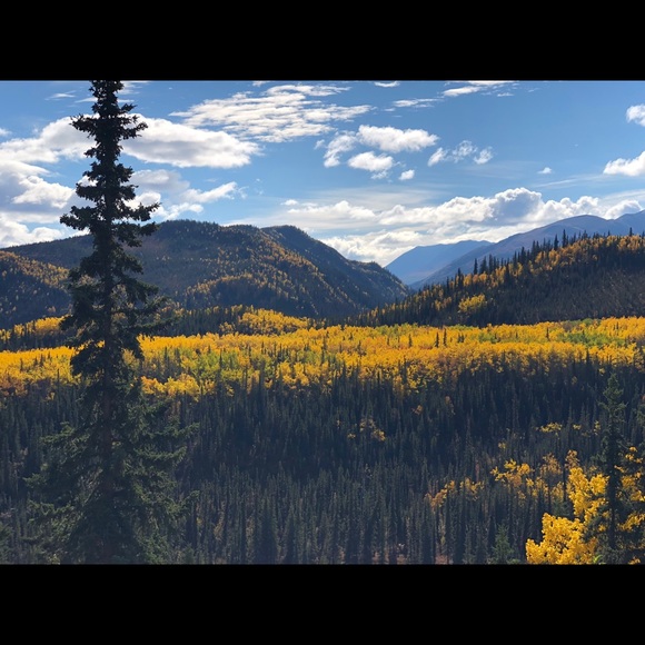 Meet your Posher, Joyce - Picture 2 of 3